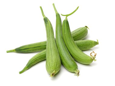 Taze genç bamya