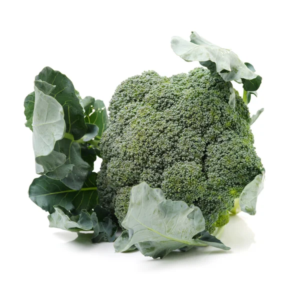 白色背景的西兰花蔬菜 — 图库照片