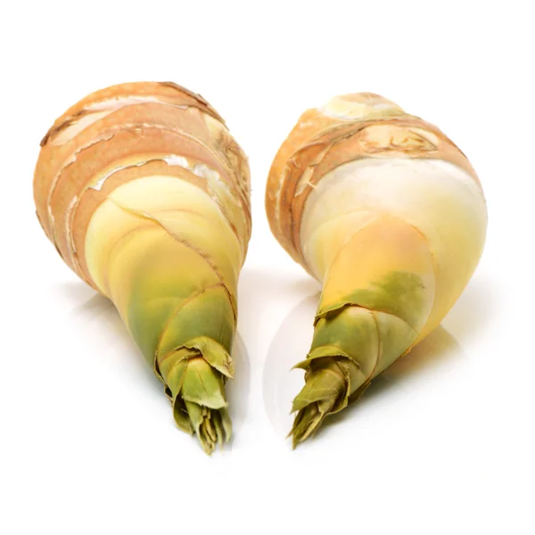 Bamboo shoot on the white — Stock Photo, Image