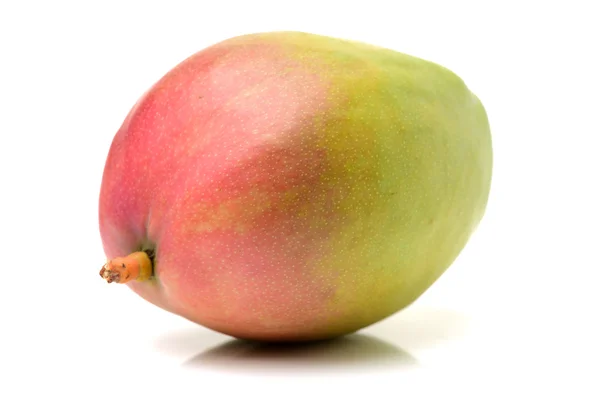 Mango på vit bakgrund — Stockfoto