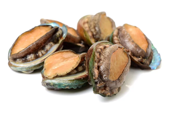 Beyaz üzerine ham abalones — Stok fotoğraf