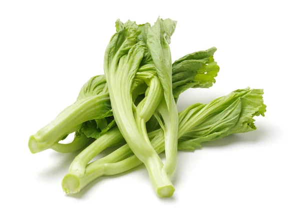 Färska gröna senap på vit — Stockfoto