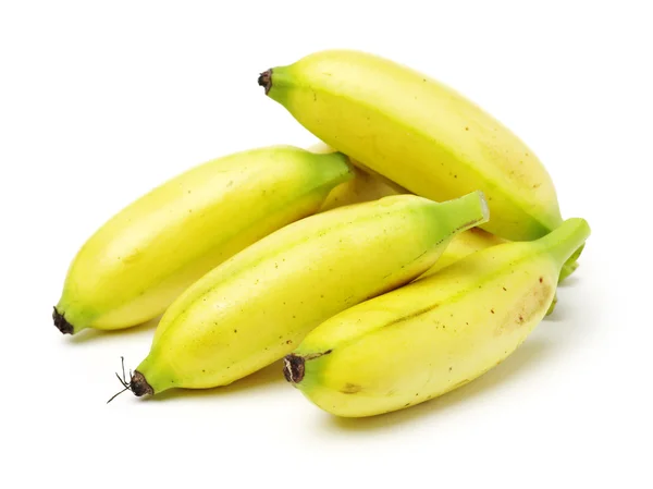 Stelletje baby banaan geïsoleerd — Stockfoto