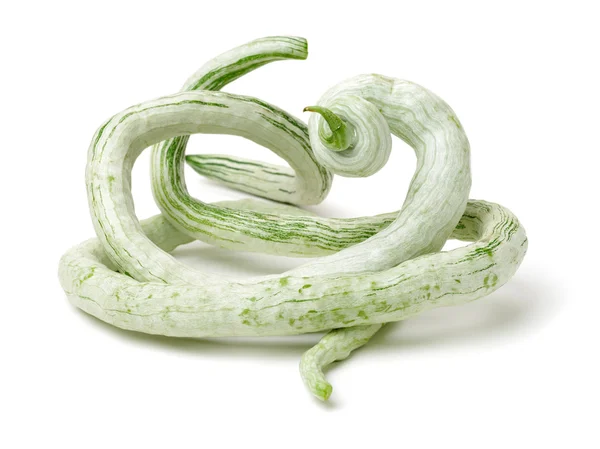 Игра Змейка С Испугом