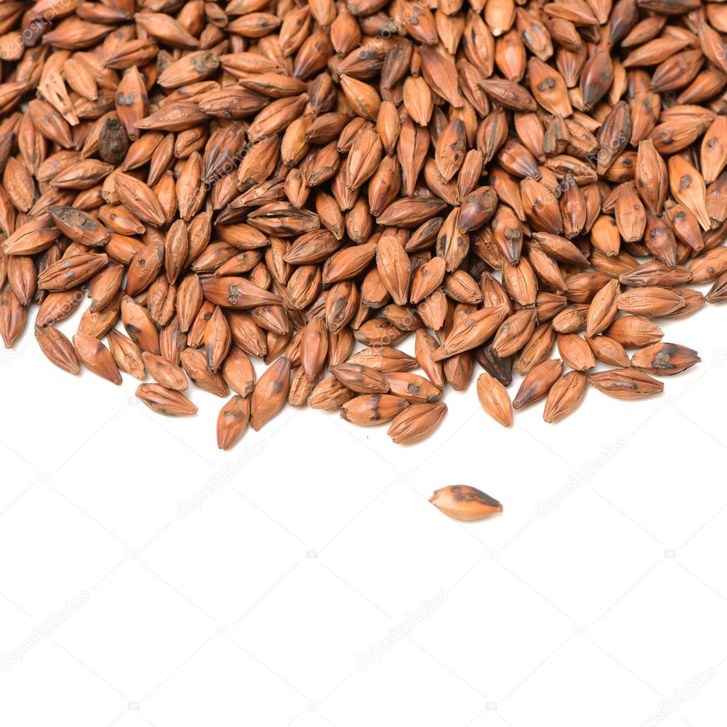 白の麦茶 ストック写真 C Jianghongyan 白の麦茶 ストック写真 C Jianghongyan