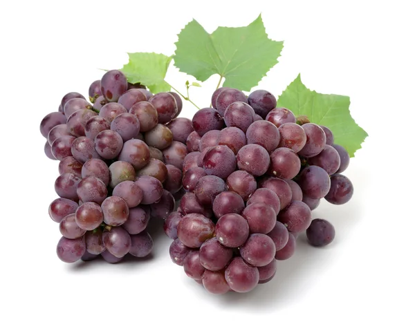 Grape cluster with leaves isolated — Stock Photo, Image