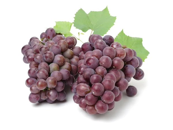 Clúster de uva con hojas aisladas —  Fotos de Stock