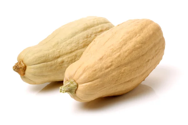 Fresh butternut squash on white — Stock Photo, Image