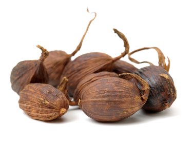 Bir beyaz üzerine siyah kakule 