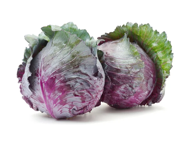 Red cabbage isolated on white — Stock Photo, Image