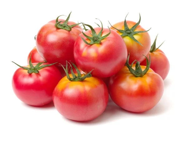 Foto de cerca de tomates . — Foto de Stock