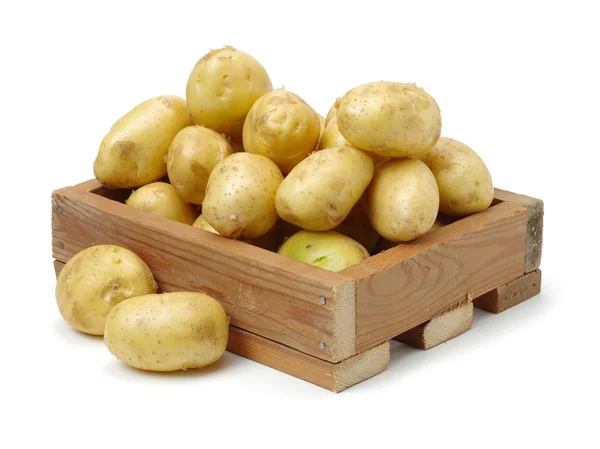New potato isolated on white — Stock Photo, Image