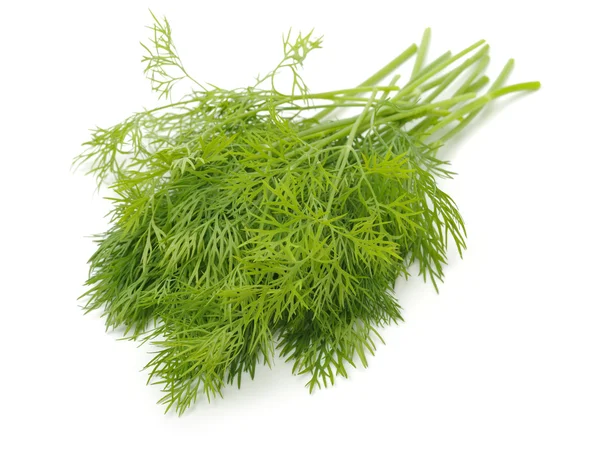 Bos van groene dill — Stockfoto