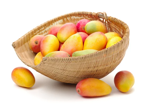 Mango on white backgroundMango on — Stock Photo, Image