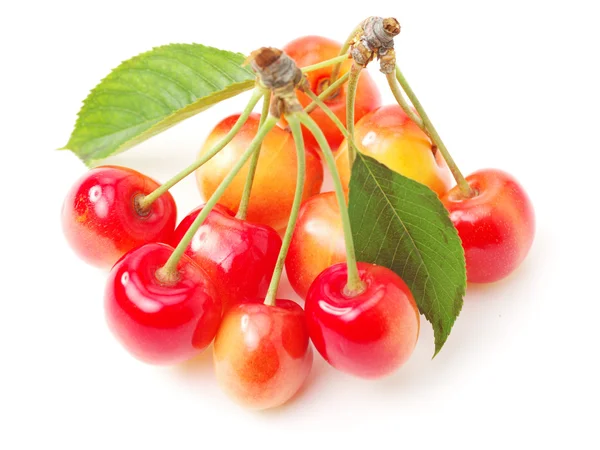 Cherry geïsoleerd op witte backgroundcherry — Stockfoto