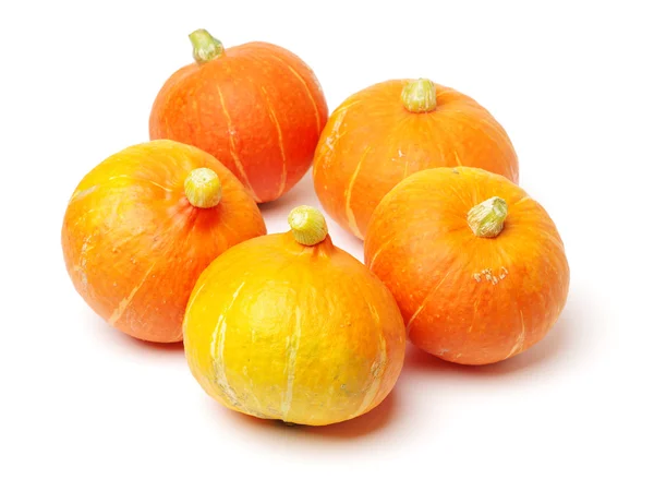 Orange frischer Kumquat — Stockfoto