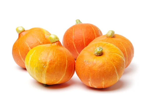 Oranje pompoen op witte backgroundorange — Stockfoto