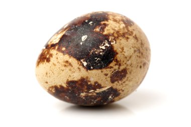 Bıldırcın yumurta