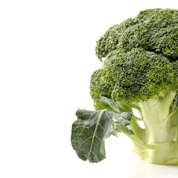 Broccoli plantaardige — Stockfoto