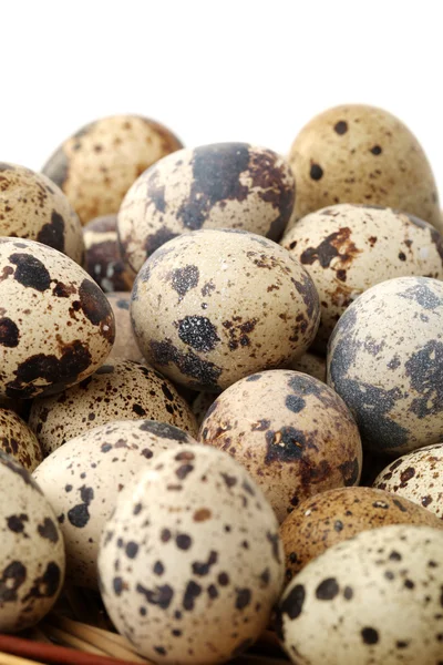 Quails eggs — Stock Photo, Image