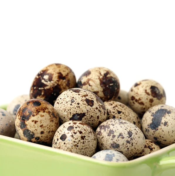 Quail eggs — Stock Photo, Image