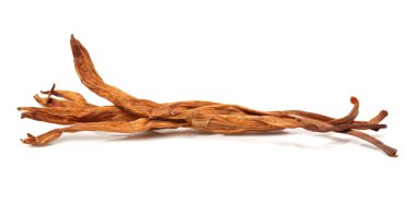 Lily tomurcukları kurutulmuş