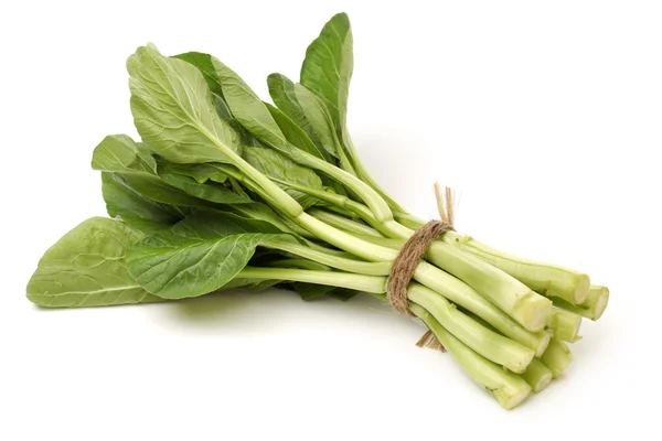 Green kale — Stock Photo, Image