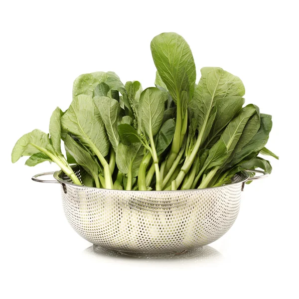 Green kale — Stock Photo, Image