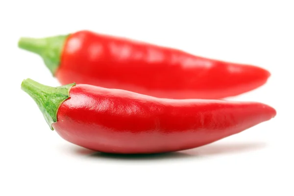 Rode chilipepertjes — Stockfoto