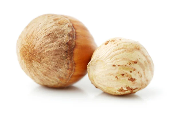 Dried Hazelnuts — Stock Photo, Image