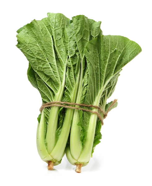 Small Chinese cabbage — Stock Photo, Image