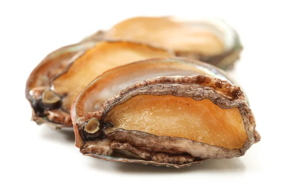 Raw abalones — Stock Photo, Image