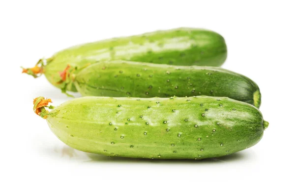 Groene komkommers — Stockfoto