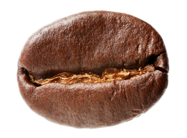 Coffee bean — Stock Photo, Image