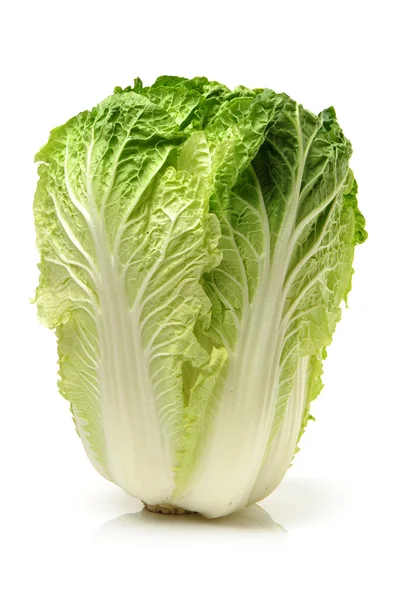 Chinese cabbage — Stock Photo, Image