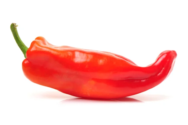 Peperoncino rosso piccante — Foto Stock