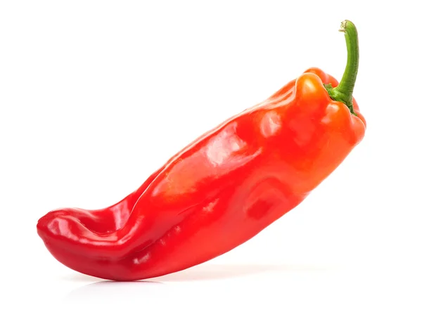 Röd het chilipeppar — Stockfoto