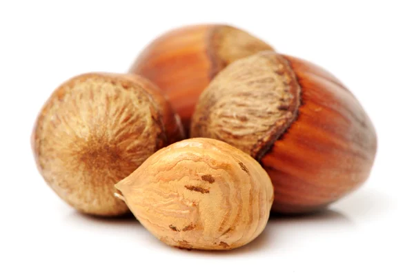 Brown Hazelnuts — Stock Photo, Image