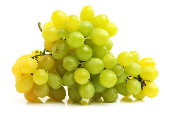 Fresh green grapes — Stock Photo, Image