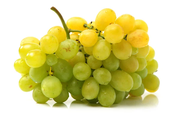 Verse groene druiven — Stockfoto