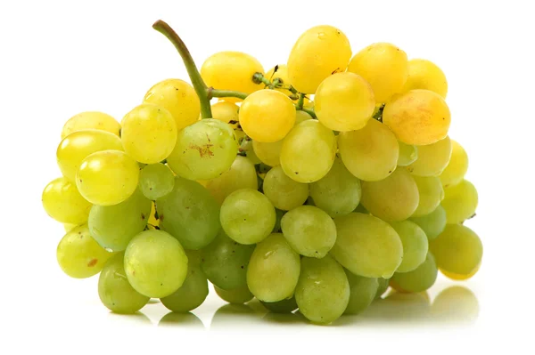 Fresh green grapes — Stock Photo, Image