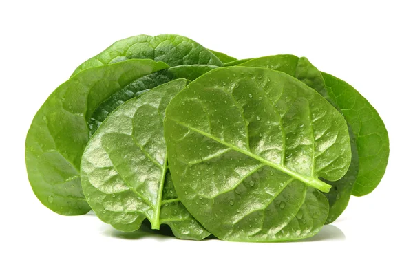 Fresh  spinach vegetable leaves — Stock Photo, Image