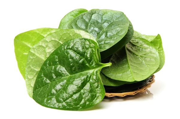 Fresh  spinach vegetable leaves — Stock Photo, Image