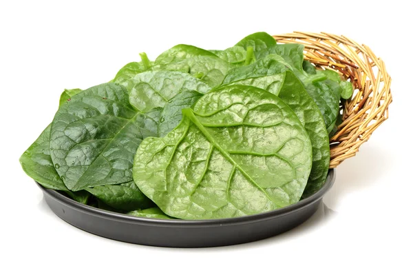 Foglie di verdure di spinaci freschi — Foto Stock
