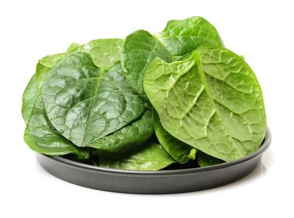 Fresh  spinach vegetable leaves — Stock Photo, Image