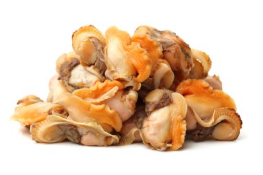 Scapharca subcrenata