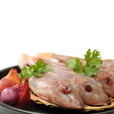 Kızıl kırlangıç balığı