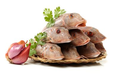 Kızıl kırlangıç balığı