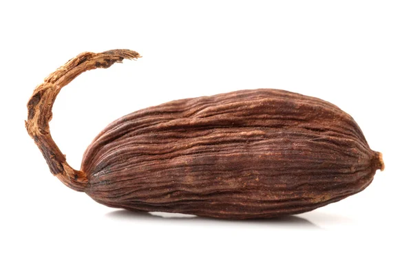 Cardamomo negro — Fotografia de Stock