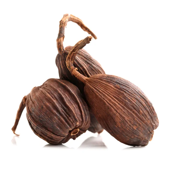 Cardamomo negro — Foto de Stock